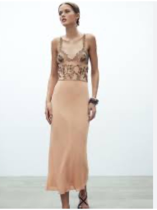 Zara Dresses & Skirts - New with tags! Beautiful Zara beaded/sequin Dress